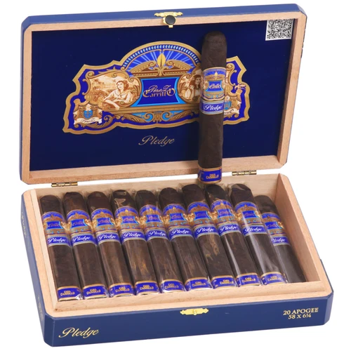 Casa Carrillo Pledge Apogee