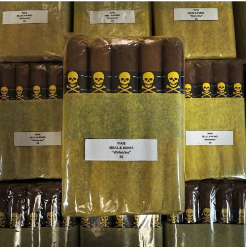 Viaje Skull and Bones Wolverine