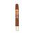 Casa Carrillo Encore Celestial