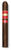Cohiba C8 Limited Edition 2025