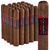 CAO Surplus Maduro Robusto