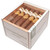Cavalier White Elegantes