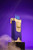 Rocky Patel Statesman Gold & Purple Lighter