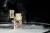 Rocky Patel Artisan Gold Lighter