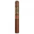 Casa Magna Vega Toro