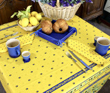 SALE French Table  Linen
