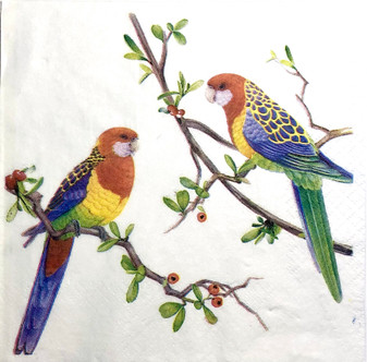 20 Paper Napkins Rosella  33x33cm