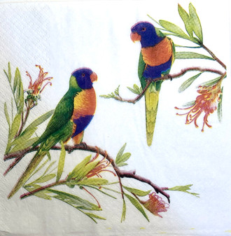 20 Paper Napkins Rainbow Lorikeets  33x33cm