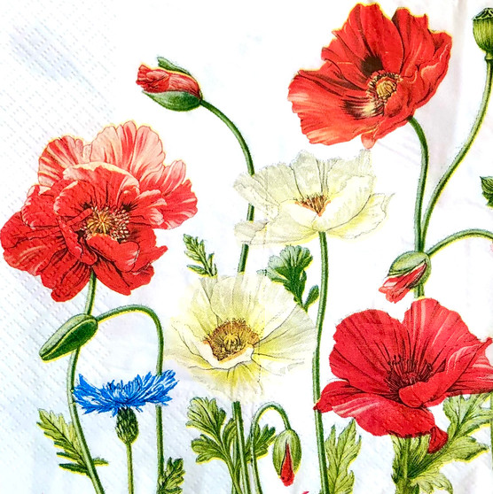 20 Paper Napkins Provence Poppies and Cornflowers 33x33cm