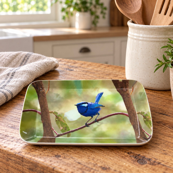blue wren small tray