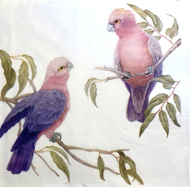 Galah paper napkins with Australian native bird design, 33x33cm luncheon napkins