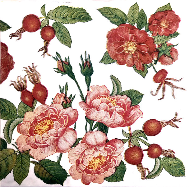 Roses paper napkins with vintage floral rose illustration, 33x33cm luncheon napkins