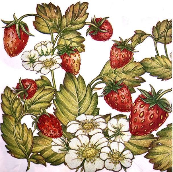 Wild strawberry paper napkins with botanical strawberry and floral design, 33x33cm luncheon napkins