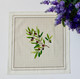 Nyons Ecru French Tablecloth Round 180cm COATED Made in France Nyons Ecru French Tablecloth Round 180cm COATED Made in France