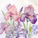 Irises paper napkins with purple and pink iris floral design, luncheon paper napkins 33x33cm