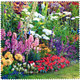 Giverny Garden Microfibre Cleaning Cloth Made in France