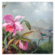 Martin Johnson Heade Orchid and Hummingbirds 1875-90 Microfiber Cleaning Cloth Made in France
