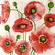 Provence Red Poppies paper napkins — watercolor red poppies with green seed pods, 20 pack, 33x33cm luncheon