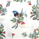 blue wren eucalyptus paper napkins 33x33cm Australian bird serviettes