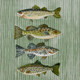 20 Paper Napkins – Vintage Freshwater Fish – 33x33cm Luncheon