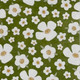20 Paper Napkins – White Floral Green – 33x33cm Luncheon