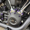 HOGWORKZ® Full Engine Bolt Kit for M8 Harley® Touring & Softail | Purple