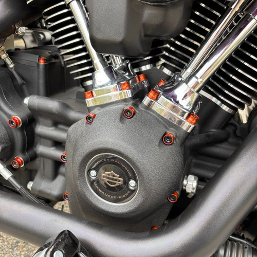 HOGWORKZ® Full Engine Bolt Kit for M8 Harley® Touring & Softail | Orange on bike