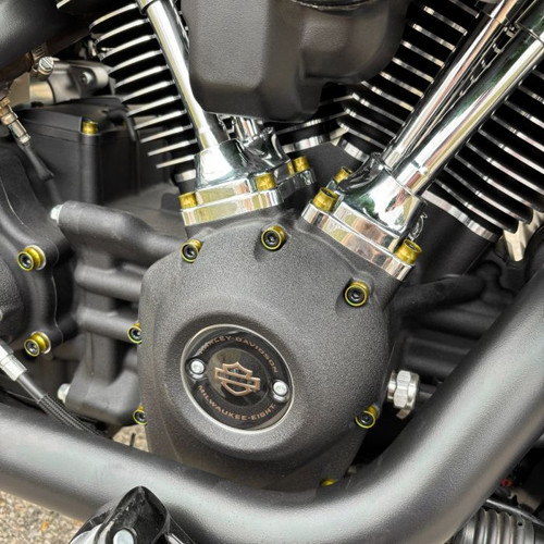HOGWORKZ® Full Engine Bolt Kit for M8 Harley® Touring & Softail | Orange on bike