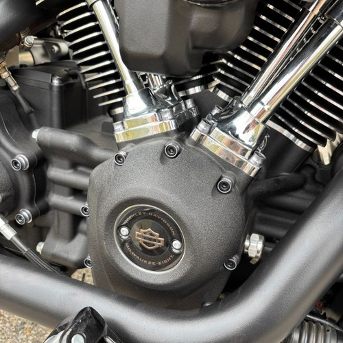 HOGWORKZ® Full Engine Bolt Kit for M8 Harley® Touring & Softail | Silver on bike