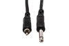 HOSA CPR-110 10 Foot Unbalanced Interconnect, 1/4 in TS to RCA