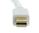 Mini DisplayPort Cables and Adapters