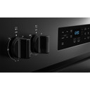Whirlpool® 30-inch Electric Range with Steam Clean YWFES3330RB