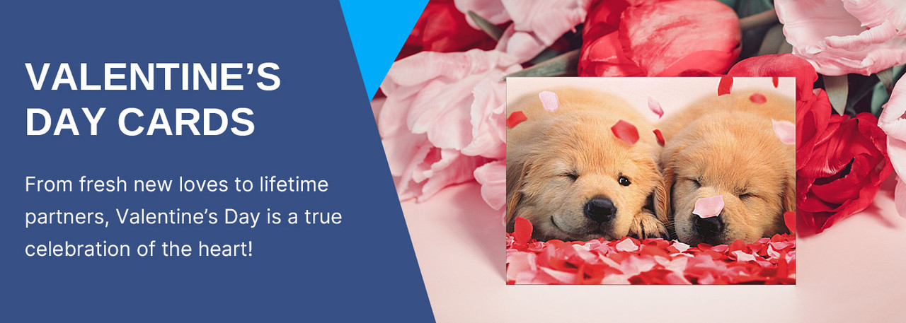 Shop our wide selection of name brand Valentine's Day cards for family and friends.