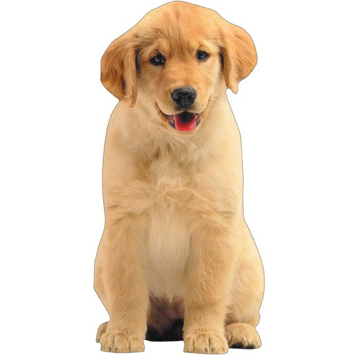 Golden Retriever Puppy Die Cut Gift Card Holder Note Card