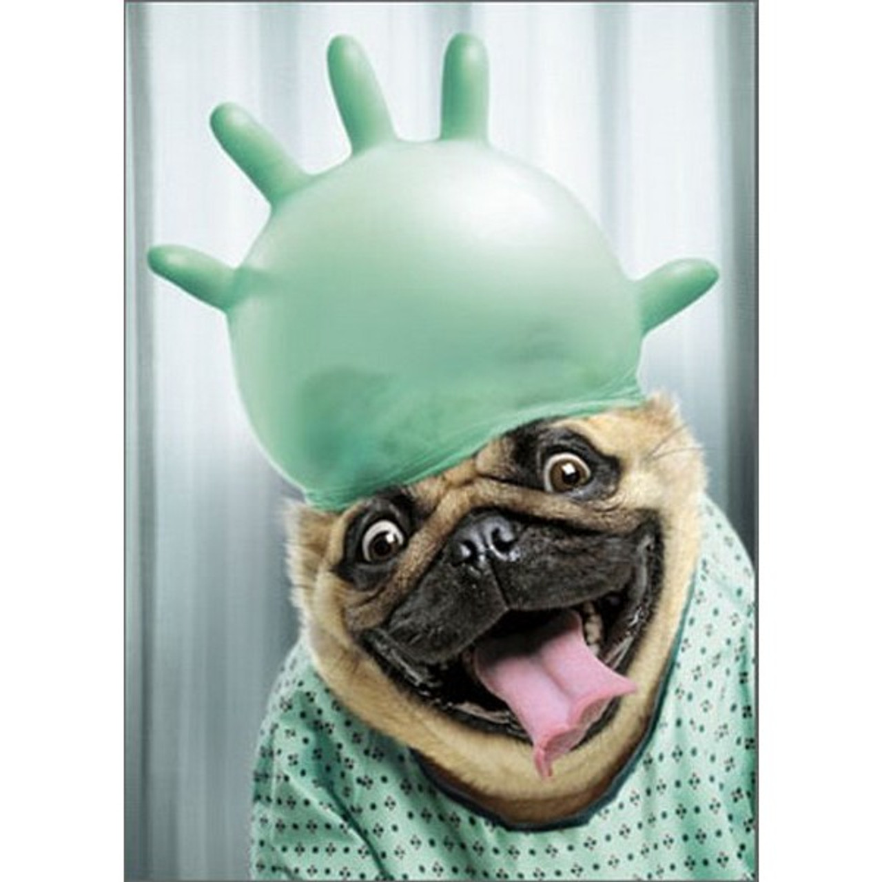 Dog With Surgical Glove Funny / Humorous Pug Get Well Card
