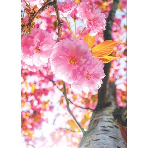 Cherry Blossom Tree Deluxe Matte Blank Note Card | PaperCards.com