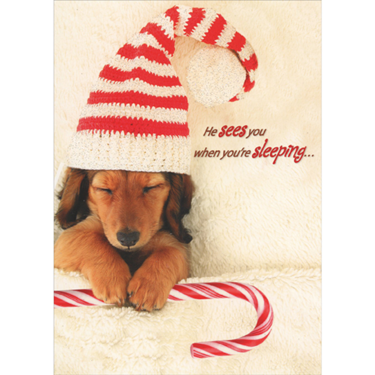 Sleeping Puppy with Red and White Knit Hat and Candy Cane Photo