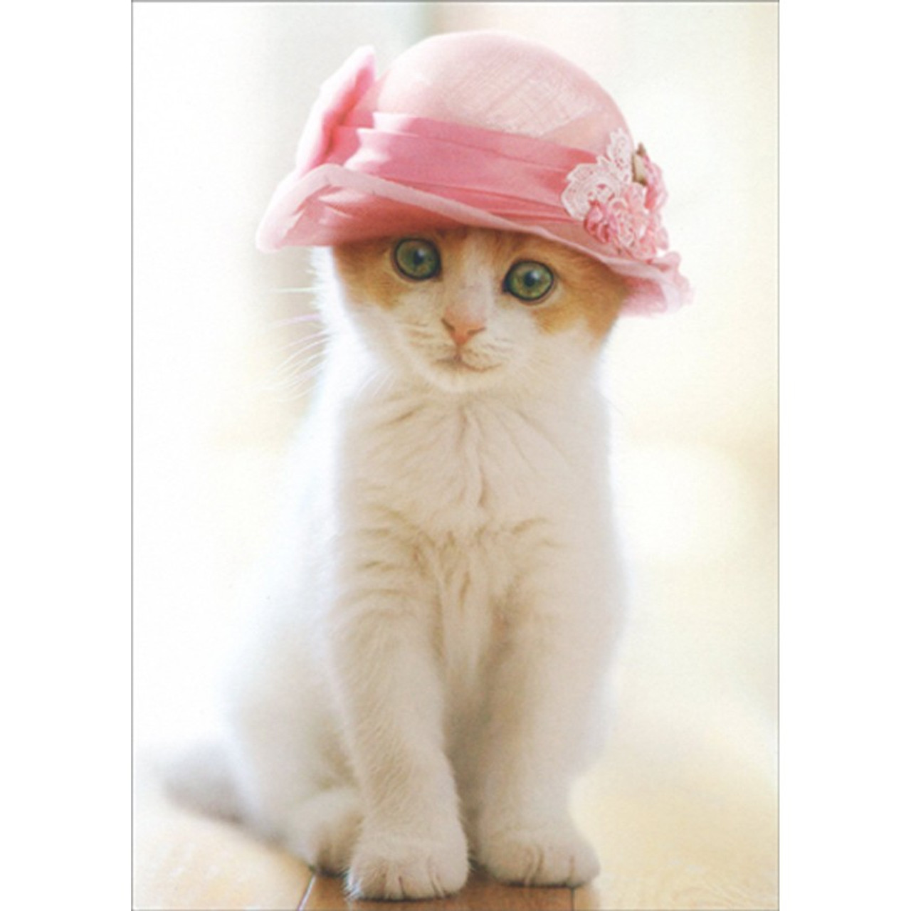 Kitten Wearing Pillbox Hat Cute Cat Blank Note Card