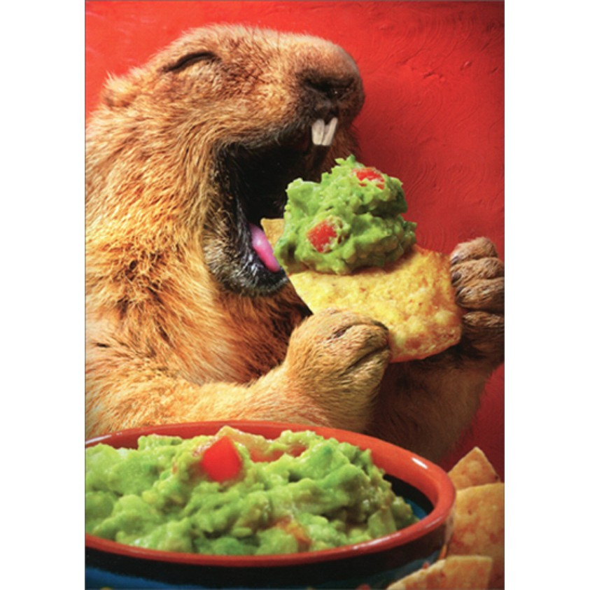 Groundhog Eating Chip and Guac Funny / Humorous Father's Day Card