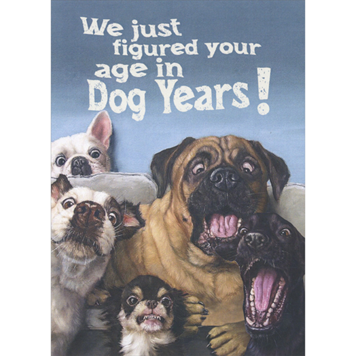 Shocked Dogs: Figured Out Your Age in Dog Years Funny Birthday