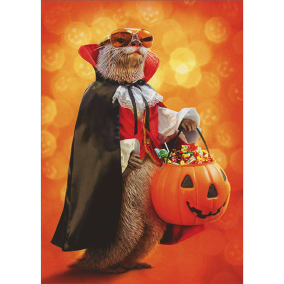 Otter Dressed as a Vampire Holding Bucket of Candy Funny