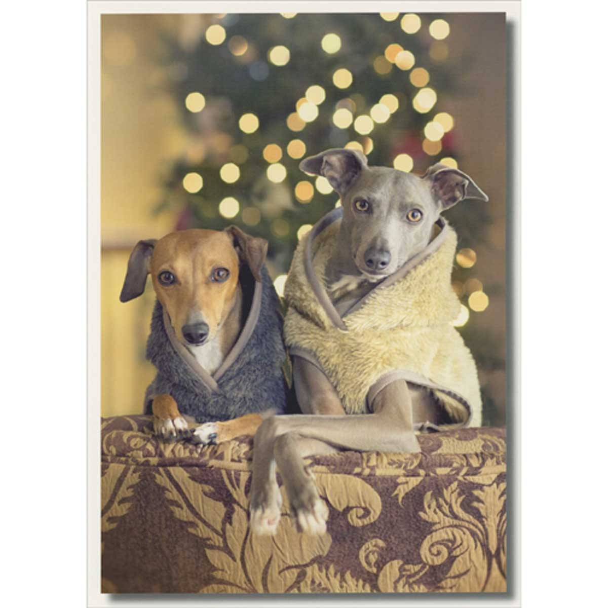 Weihnachtskarte 'Merry Christmas From The Dog' – Premium-Leinenkarton, 210 X 148 Mm, Mit Umschlag