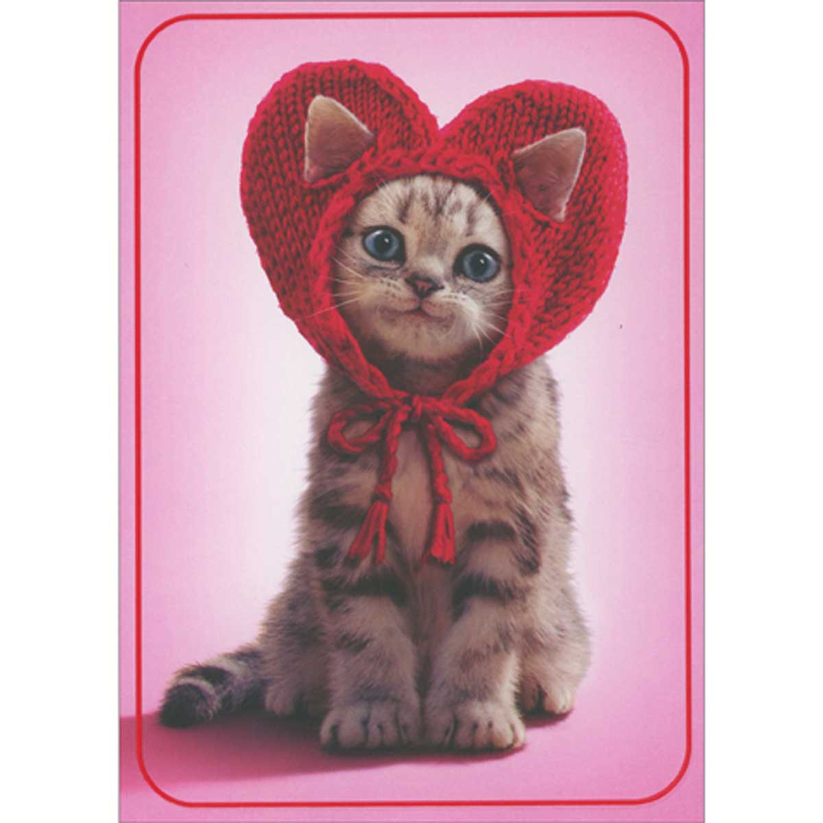 Kitten Wearing Knit Red Heart Cap Cute Cat Valentine's Day Card |  PaperCards.com