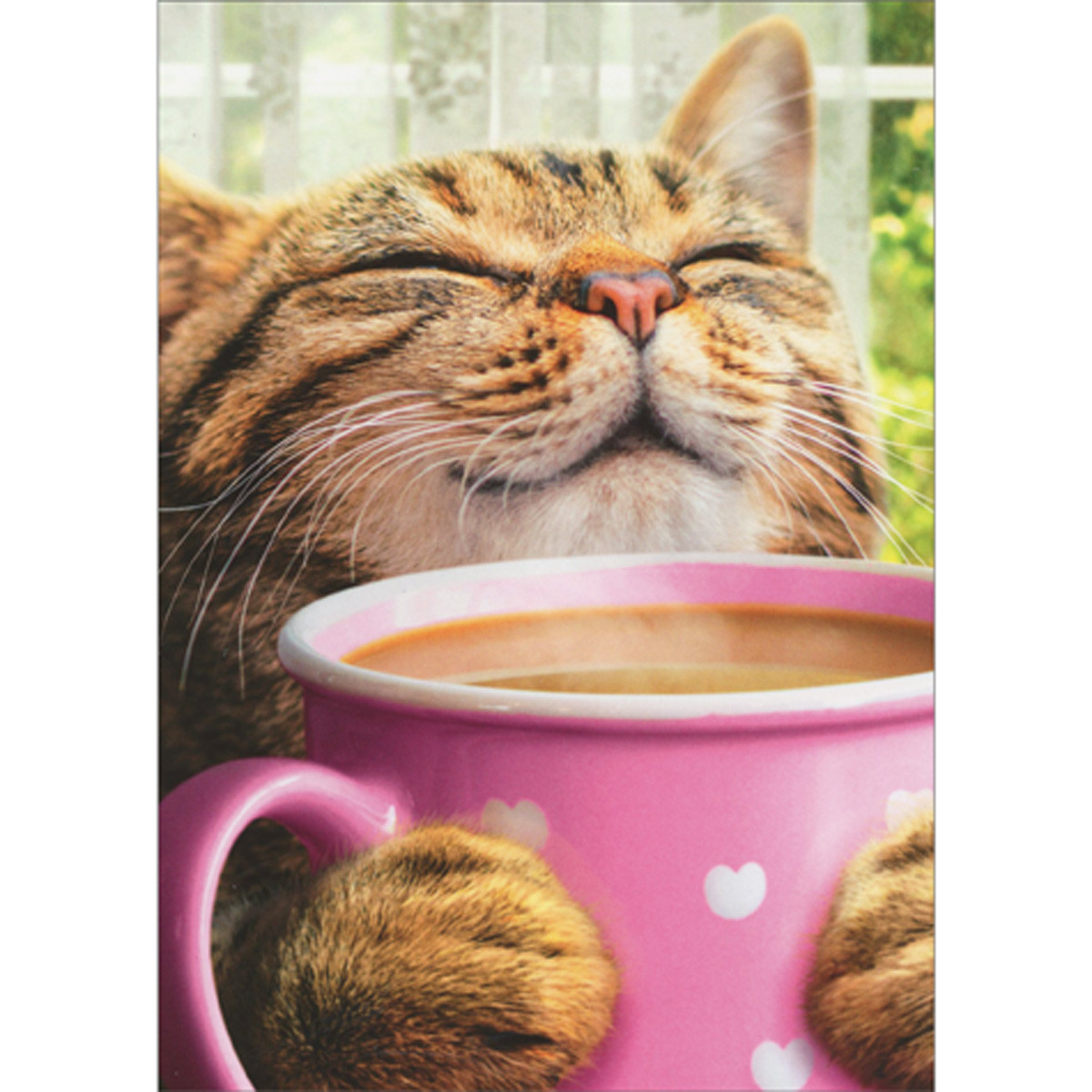 Brown Cat Holding Pink Mug and Smelling Coffee Aroma Mother's Day Card