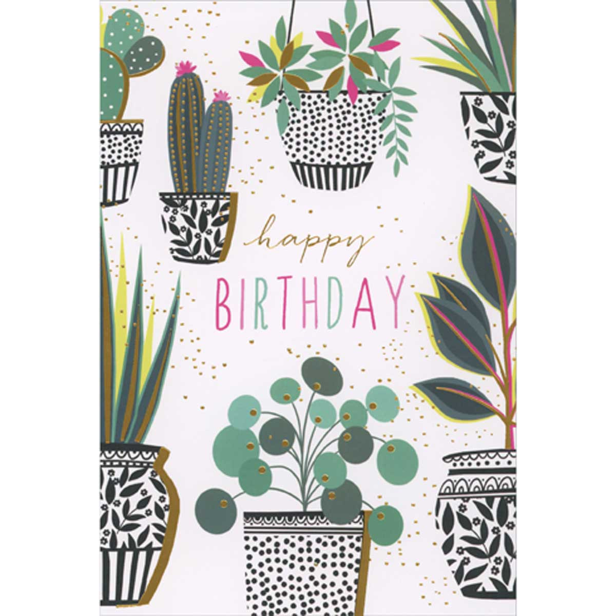 Succulent Plants in Black and White Pots with Gold Foil Accents Birthday  Card | PaperCards.com