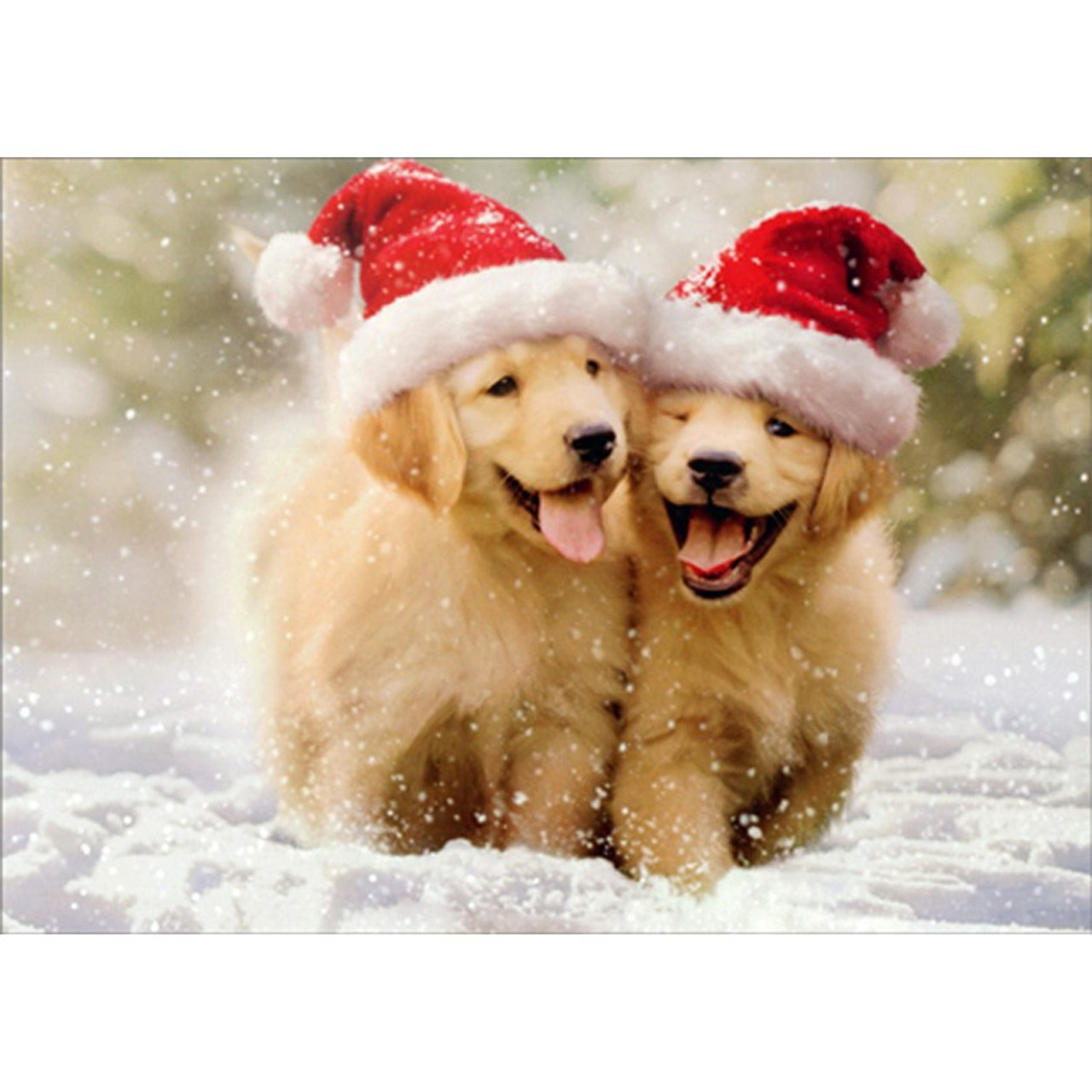 Two Golden Puppies Running in Snow Cute Dogs Christmas Card ...