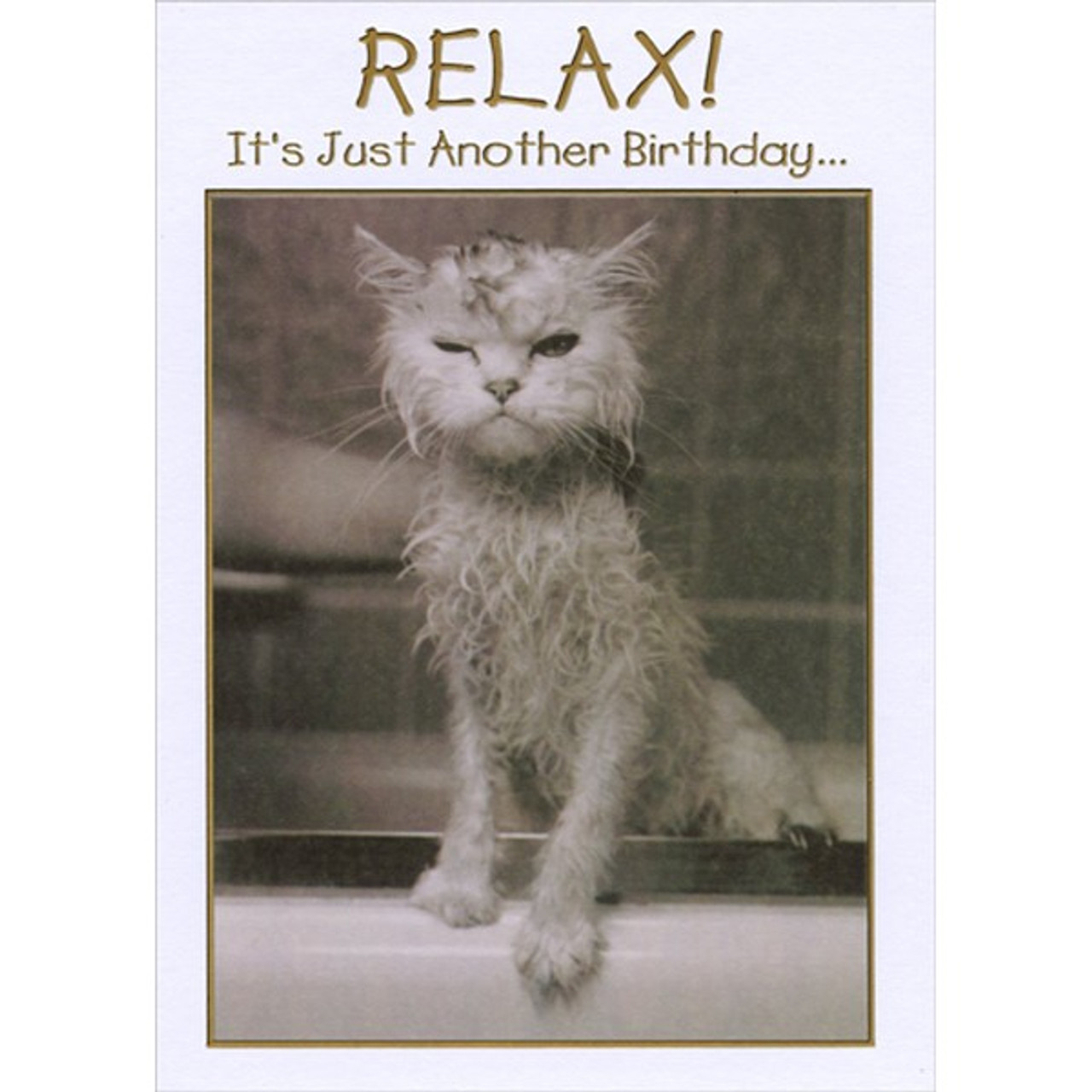 Cat with Wet Fur Funny Birthday Card | PaperCards.com