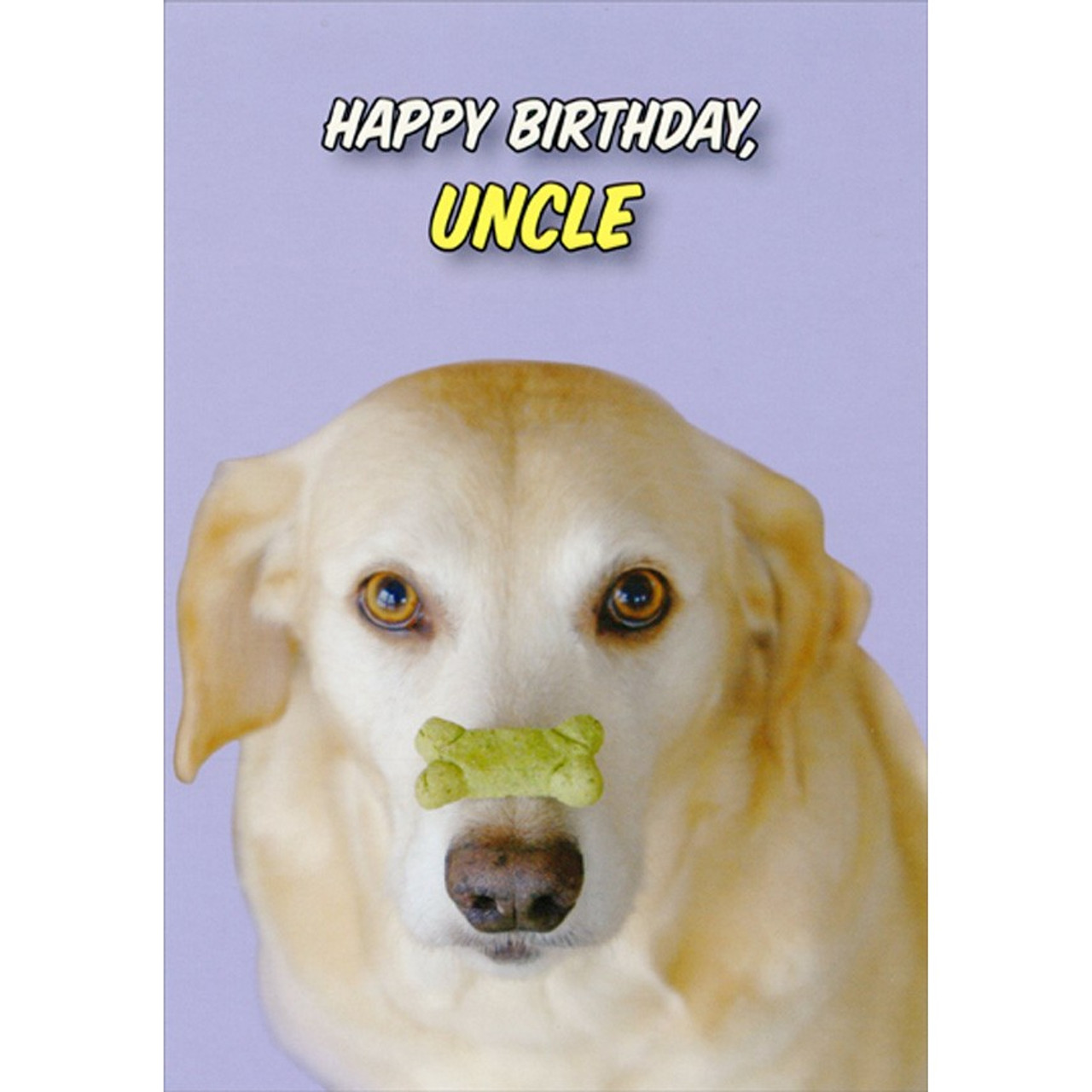 funny happy birthday golden retriever