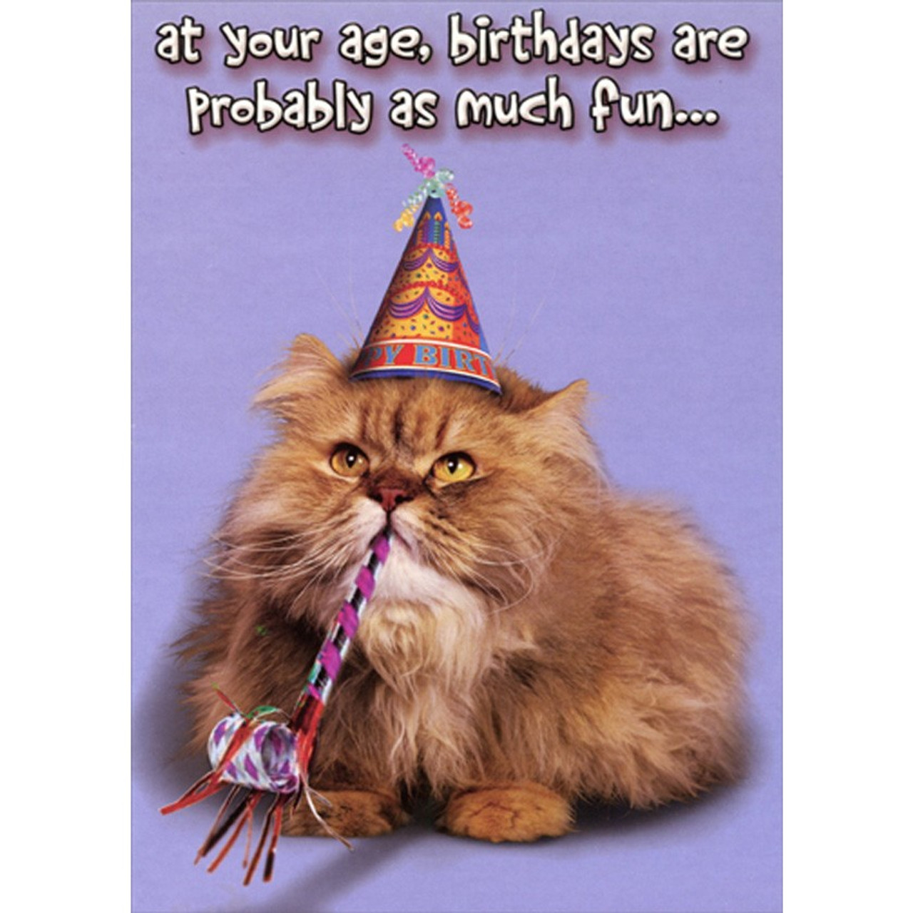 As Much Fun : Cat with Party Hat and Horn Funny : Humorous Risque ...
