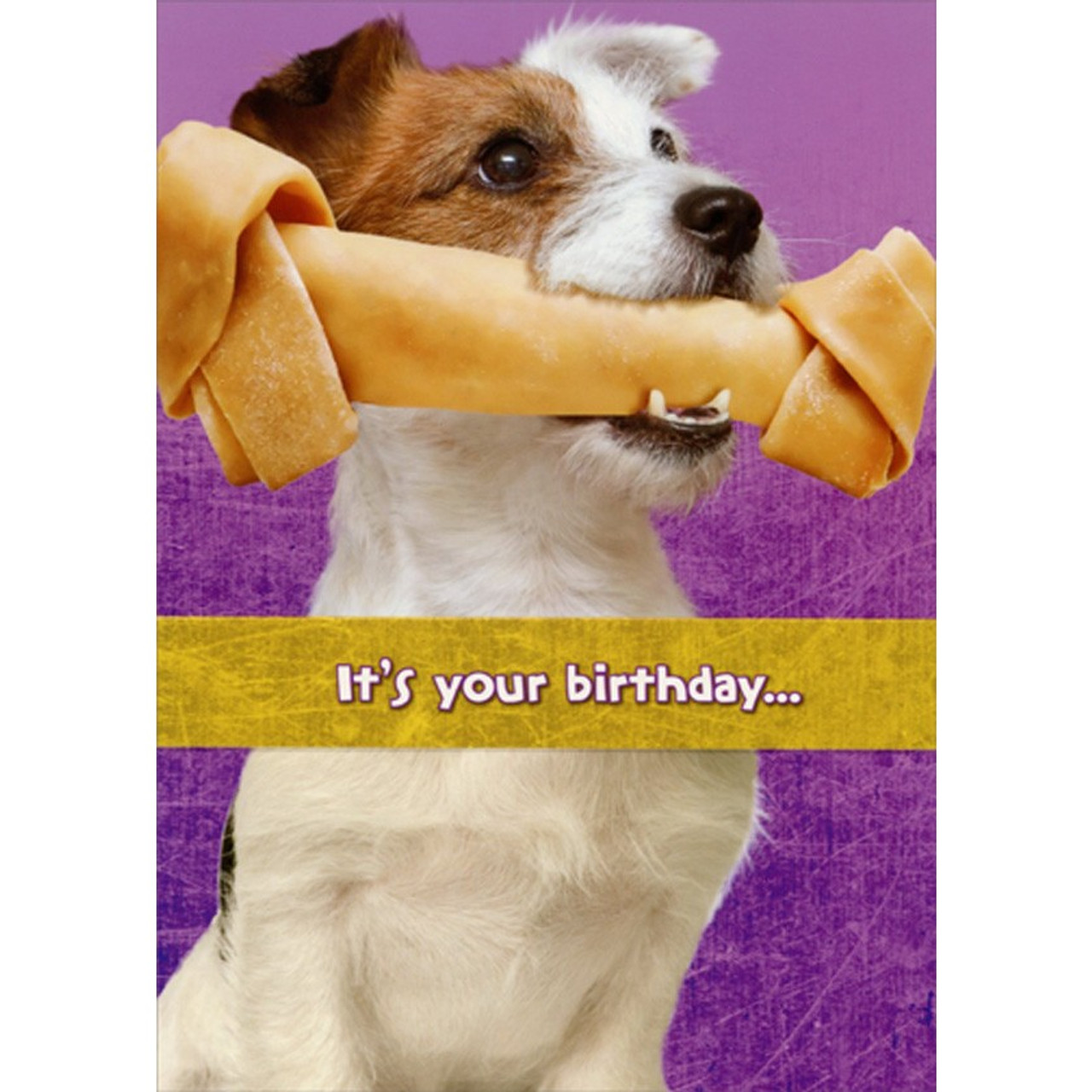 Jack Russell Terrier with Rawhide Bone Funny : Humorous Dog Birthday ...